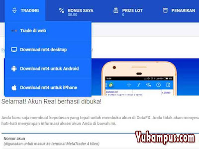cara login akun real octafx ke metatrader 4 5